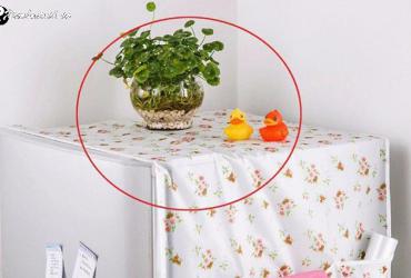 Những Đồ Đại Kỵ Không Nên Đặt Trên Nóc Tủ Lạnh