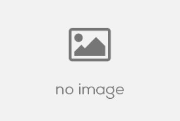 Khám Phá Bí Mật Về Các Loại Khí Trong Phong Thủy: Tăng Tài Lộc và Cân Bằng Cuộc Sống