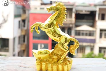 Khám Phá Bí Quyết Phong Thủy Giúp Người Tuổi Ngọ Thịnh Vượng