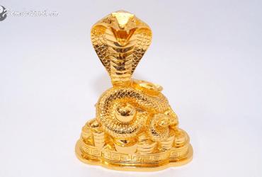 Bí Mật Phong Thủy Kích Hoạt Vận May Cho Người Tuổi Tỵ