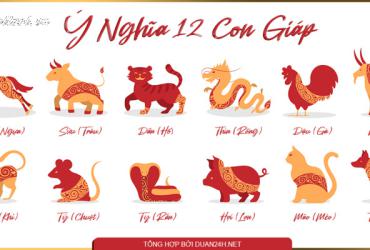 Khám Phá Ý Nghĩa 12 Con Giáp Trong Phong Thủy: Bí Ẩn Vận Mệnh Và May Mắn