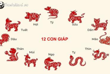 Khám Phá Mẹo Phong Thủy Chuẩn Nhất Cho 12 Con Giáp Để Thu Hút Tài Lộc Và May Mắn!