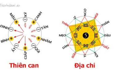 Khám Phá Thiên Can và Địa Chi: Bí Mật Vận Mệnh Và Phong Thủy Nhà Ở