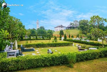 Phái Loan Đầu: Bí Mật Hình Thể Trong Phong Thủy Cổ Truyền