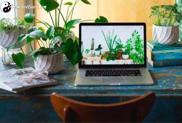 Phong Thủy Trong Kiến Trúc Bền Vững Và Nhà Ở Xanh: Hướng Tới Không Gian Sống Hài Hòa