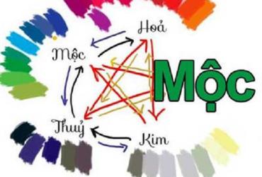 Mệnh Mộc Hợp Mệnh Gì? Bí Quyết Vận Mệnh Cho Người Mệnh Mộc