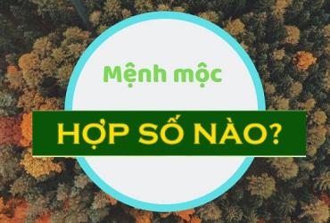 Mệnh Mộc Hợp Số Gì? Bí Mật Mang Lại May Mắn, Tài Lộc