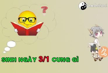 Xem cung hoàng đạo của người sinh ngày 3 tháng 1