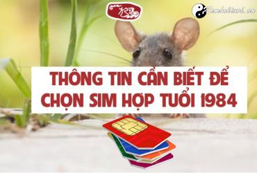 Tuổi Giáp Tý 1984 hợp với số điện thoại nào