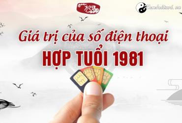 Tuổi Tân Dậu 1981 hợp số điện thoại nào