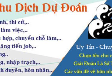 DỊCH VỤ CHẤM LÁ SỐ TỬ VI