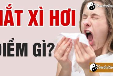 Hắt Xì Hơi, Nhảy Mũi 1 Cái, 2 Cái