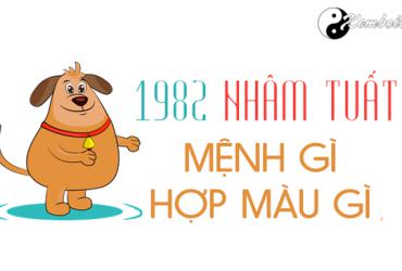 Sinh năm 1982 mệnh gì? Phân tích chi tiết về người tuổi Nhâm Tuất