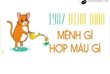 Sinh năm 1987 mệnh gì? - Giải mã cung mệnh, tính cách, phong thủy tuổi Đinh Mão
