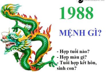 Sinh năm 1988 mệnh gì? Phân tích đầy đủ về phong thủy tuổi Mậu Thìn