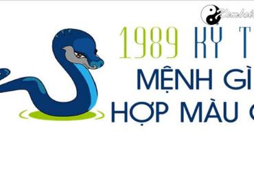 Sinh năm 1989 mệnh gì? Tìm hiểu chi tiết về tuổi Kỷ Tỵ