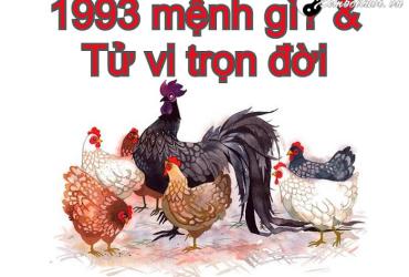 Sinh năm 1993 mệnh gì? Phân tích chi tiết về người tuổi Quý Dậu