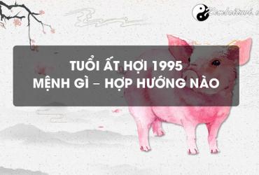 Sinh Năm 1995 Ất Hợi Mệnh Gì? Bí Ẩn Vận Mệnh Tuổi Hợi Mệnh Sơn Đầu Hỏa