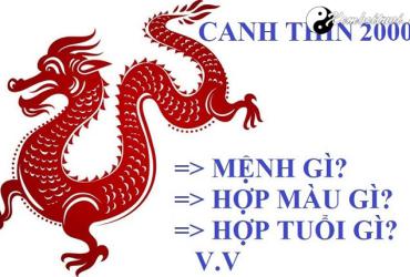 Sinh năm 2000 mệnh gì? Phân tích đầy đủ về tính cách, vận mệnh và phong thủy