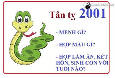 Sinh năm 2001 mệnh gì? Tìm hiểu đầy đủ về người tuổi Tân Tỵ