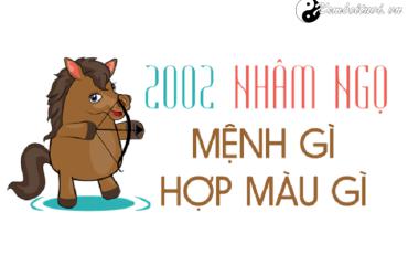 Sinh năm 2002 mệnh gì? Tổng quan về phong thủy và hướng nhà hợp tuổi