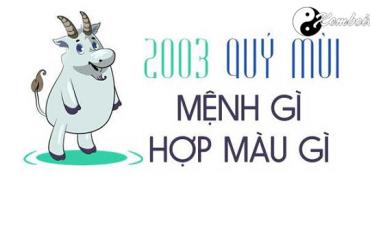 Sinh năm 2003 mệnh gì? Hướng dẫn đầy đủ về phong thủy cho người tuổi Quý Mùi