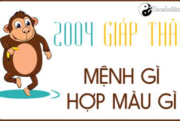 Sinh năm 2004 mệnh gì? Hướng dẫn toàn diện về phong thủy cho tuổi Giáp Thân