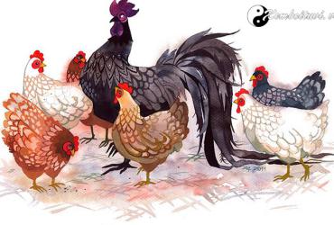 Sinh năm 2005 mệnh gì? Tổng hợp phong thủy và tử vi cho tuổi Ất Dậu