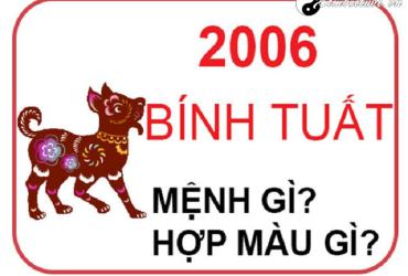 Sinh năm 2006 mệnh gì? Tìm hiểu đầy đủ về người tuổi Bính Tuất