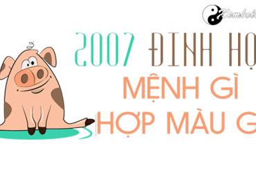 Sinh năm 2007 mệnh gì? Hướng dẫn đầy đủ về phong thủy tuổi Đinh Hợi