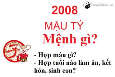 Sinh năm 2008 mệnh gì? Phân tích chi tiết theo phong thủy