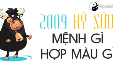 Sinh Năm 2009 Mệnh Gì? Phân Tích Đầy Đủ Về Phong Thủy Tuổi Kỷ Sửu