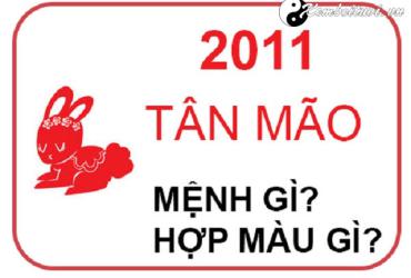 Sinh năm 2011 mệnh gì? Tìm hiểu chi tiết về phong thủy tuổi Tân Mão
