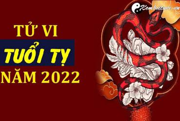 Tử vi tuổi Tỵ năm Nhâm Dần 2022