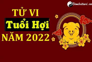 Tử vi tuổi Hợi năm Nhâm Dần 2022
