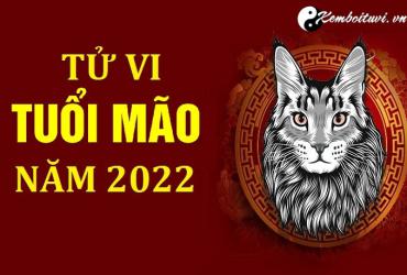 Tử vi tuổi Mão năm Nhâm Dần 2022