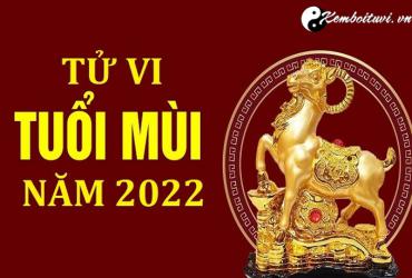 Tử vi tuổi Mùi năm Nhâm Dần 2022