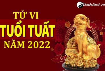 Tử vi tuổi Tuất năm Nhâm Dần 2022