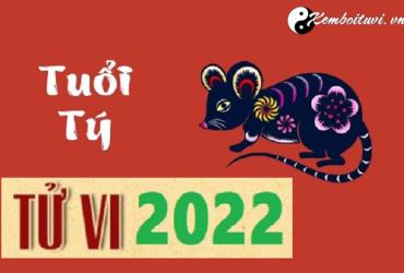 Tử vi tuổi Tý năm Nhâm Dần 2022