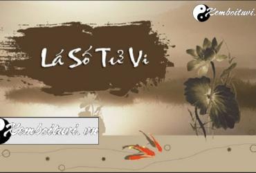 Kinh nghiệm xem tử vi của một cao nhân 40 năm coi tử vi