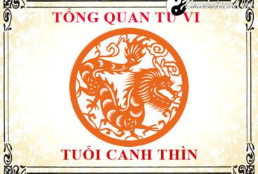 Xem tử vi tuổi Canh Thìn năm 2021 nữ mạng 2000
