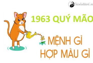 Năm 1963 là năm con gì? Sinh năm 1963 là mệnh gì? Tuổi gì?