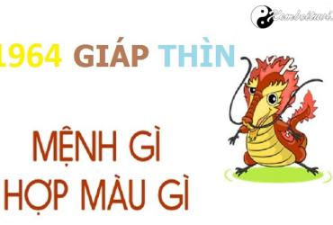 Năm 1964 là năm con gì? Sinh năm 1964 là mệnh gì? Tuổi gì?