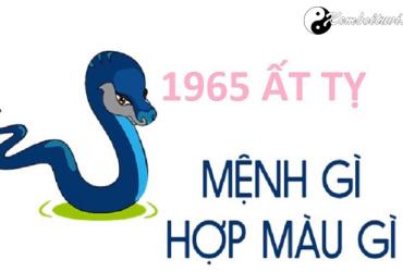 Năm 1965 là năm con gì? Sinh năm 1965 là mệnh gì? Tuổi gì?