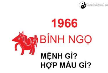Năm 1966 là năm con gì? Sinh năm 1966 là mệnh gì? Tuổi gì?