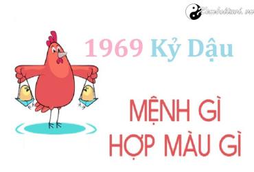Năm 1969 là năm con gì? Sinh năm 1969 là mệnh gì? Tuổi gì?