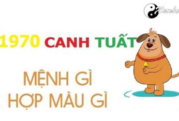 Năm 1970 là năm con gì? Sinh năm 1970 là mệnh gì? Tuổi gì?
