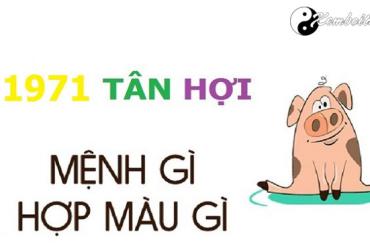 Năm 1971 là năm con gì? Sinh năm 1971 là mệnh gì? Tuổi gì?