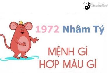 Năm 1972 là năm con gì? Sinh năm 1972 là mệnh gì? Tuổi gì?