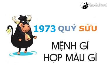 Năm 1973 là năm con gì? Sinh năm 1973 là mệnh gì? Tuổi gì?